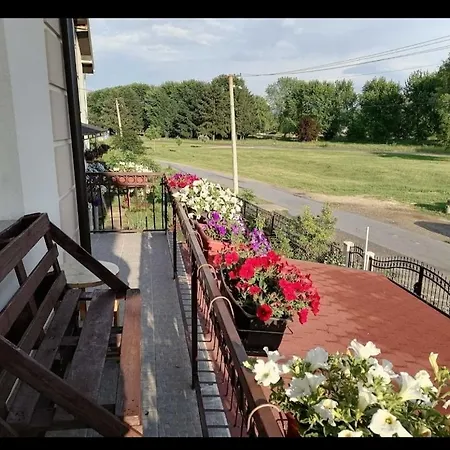 Privatni Smestaj - Grujic Apartment Dobrosin