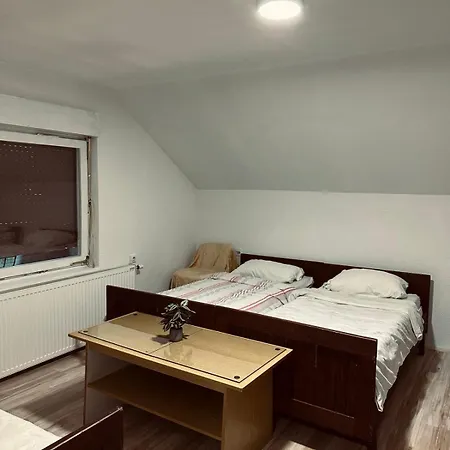 Privatni Smestaj - Grujic Apartment Dobrosin